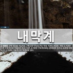 내막계 뜻: 진핵 세포를 기능적인 구획으로 나누어 주는 막성 기관의 연결망. 어떤 소기관은 서로 구조적