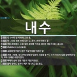 내수 뜻: 둑 안이나 늪 따위에 고인 물., 한 나라의 영토 안에 있는 강, 호수, 운하 따위의 물. [국어 사전]