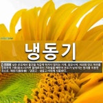 냉동기 뜻: 낮은 온도에서 물건을 차갑게 하거나 얼리는 기계. 암모니아, 이산화 탄소 따위를 압축하여 냉동기 뜻: 낮은 온도에서 물건을 차갑게... 