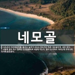 네모골 뜻: 사초과의 여러해살이풀. 줄기는 높이가 40cm 정도이고 바른 네모꼴이며, 잎은 없다. 7~