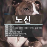 노신 뜻: 늙은 신하., 늙은 신하가 임금을 상대하여 자기를 낮추어 이르는 일인칭 대명사., 늙은 몸 [국어 사전]