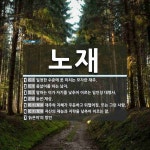 노재 뜻: 일정한 수준에 못 미치는 모자란 재주., 종살이를 하는 남자., 말하는 이가 자기를 낮추어 [국어 사전]