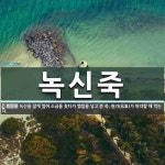 녹신죽 뜻: 녹신을 잘게 썰어 소금을 쳤다가 멥쌀을 넣고 쑨 죽. 원기(元氣)가 허약할 때 먹는다.