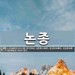 논종 뜻: 논장(論藏)에 따라 세운 종지(宗旨). 삼론종(三論宗), 법상종(法相宗), 성실종(成實宗)