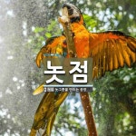 놋점 뜻: 놋그릇을 만드는 공장.