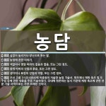 농담 뜻: 실없이 놀리거나 장난으로 하는 말., 농업에 관한 이야기., 색깔이나 명암 따위의 짙음과 [국어 사전] 농담 뜻: 실없이 놀리거나 장난으로... 