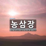 농삼장 뜻: 상자를 넣거나 싸려고 삼노를 엮어 만든 망태나 보.
