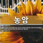 농암 뜻: ‘김창협’의 호., 농인(聾人)과 아자(啞子)라는 뜻으로, 윗사람과 아랫사람 사이에 서로 [국어 사전] 농암 뜻: ‘김창협’의 호., 농인... 