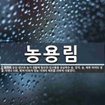 농용림 뜻: 농업 생산과 농가 생활에 필요한 임산물을 공급하는 숲. 장작, 숯, 재목 따위의 생활 자재