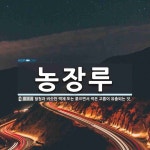 농장루 뜻