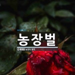 농장벌 뜻