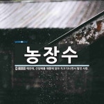 농장수 뜻: 예전에, 근담배를 채롱에 담아 지고 다니면서 팔던 사람.