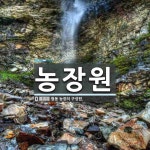 농장원 뜻: 협동 농장의 구성원.