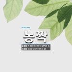 농짝 뜻: 한 벌의 농 가운데 낱개의 농., ‘농’을 낮잡아 이르는 말. [국어 사전]