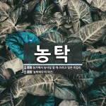 농탁 뜻: 농가에서 농사일 할 때 쓰려고 빚은 막걸리., ‘농탁하다’의 어근. [국어 사전]