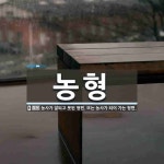 농형 뜻