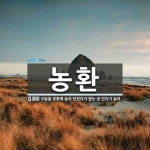 농환 뜻: 구슬을 공중에 높이 던졌다가 받는 공 던지기 놀이.