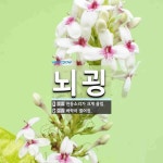 뇌굉 뜻: 천둥소리가 크게 울림., 벼락이 떨어짐. [국어 사전]