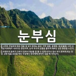 눈부심 뜻