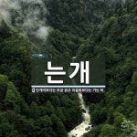 는개 뜻: 안개비보다는 조금 굵고 이슬비보다는 가는 비.
