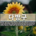다방구 뜻: 술래잡기 놀이의 하나. 일정한 기둥을 정한 뒤 술래가 숨은 사람을 찾아서 손으로 치면 포로