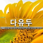 다유두 뜻: 동일 품종 내에서 일반적인 경우보다 유두가 많은 상태. 포유 능력의 기준이 된다.