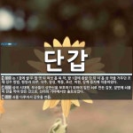 단갑 뜻