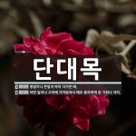단대목 뜻