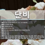 단비 뜻: 꼭 필요한 때 알맞게 내리는 비., 하나의 식으로 이루어진 비. ‘2:3’, ‘5:4’ 따 [국어 사전]