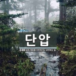 단압 뜻: 금속 재료를 단련하거나 압연하는 일.