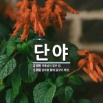 단야 뜻: 여름날의 짧은 밤., 금속을 불에 달구어 벼림. [국어 사전]