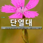 단열대 뜻: 응력에 의한 파괴로 생긴 암석의 금이나 갈라진 틈들이 나란하게 배열된 구간.