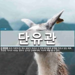 단유관 뜻: 조직 가운데 한 개의 세포가 자라서 그 안에 분비물로 유액을 가지고 있는 세포. 유관은 가
