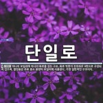 단일로 뜻: 하나의 보일러에 하나의 화로를 갖는 구조. 화로 벽면이 전후좌우 4면으로 구성되어 있으며,
