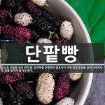 단팥빵 뜻: 소로 단팥을 넣어 만든 빵. 밀가루를 반죽하여 발효시킨 것에 설탕과 팥을 삶아 으깨거나 간