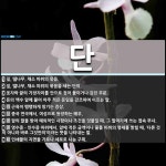 단 뜻: 짚, 땔나무, 채소 따위의 묶음., 짚, 땔나무, 채소 따위의 묶음을 세는 단위., 옷자락 [국어 사전]