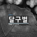달구벌 뜻: ‘대구’의 옛 이름.