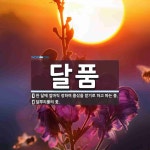 달품 뜻: 한 달에 얼마씩 정하여 품삯을 받기로 하고 파는 품., 달뿌리풀의 꽃. [국어 사전]