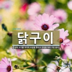 닭구이 뜻: 닭의 고기를 저미어 소금을 뿌리고 양념을 하여 구운 음식.
