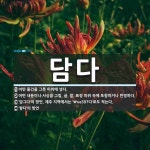 담다 뜻: 어떤 물건을 그릇 따위에 넣다., 어떤 내용이나 사상을 그림, 글, 말, 표정 따위 속에 [국어 사전] 담다... 