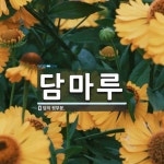 담마루 뜻: 담의 윗부분.