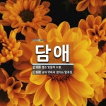 담애 뜻: 엷은 빛깔의 노을., 담이 막혀서 생기는 딸꾹질. [국어 사전]
