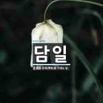 담일 뜻: 담제(禫祭)를 지내는 날.