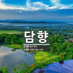 담향 뜻: 엷은 향기., 가래가 끓는 소리. [국어 사전]