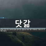 닷갊 뜻: 돌이 깔려 있는 든바다와 펄이 깔려 있는 먼바다의 경계. 제주 지역에서는 ‘닷\ue1b1’
