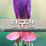 당구장 뜻: 당구를 하는 곳. 흔히 당구에 필요한 시설을 갖추어 놓고 요금을 받는 영업 장소를 이른다.