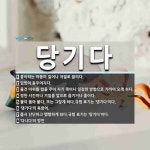 당기다 뜻: 좋아하는 마음이 일어나 저절로 끌리다., 입맛이 돋우어지다., 물건 따위를 힘을 주어 자기 [국어 사전]