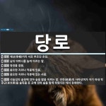 당로 뜻: 재상(宰相)끼리 서로 부르던 호칭., 남의 어머니를 높여 이르는 말., 정권을 잡음., 중 [국어 사전]