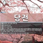 당전 뜻: 예전에, 중국 돈을 이르던 말., 대청마루의 앞., 바로 눈앞에 당함., 조선 시대에, 경 [국어 사전]
