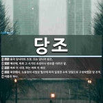 당조 뜻: 중국 당나라의 조정. 또는 당나라 왕조., 예전에, 바로 그 시기의 조정이나 왕조를 이르던 [국어 사전]
